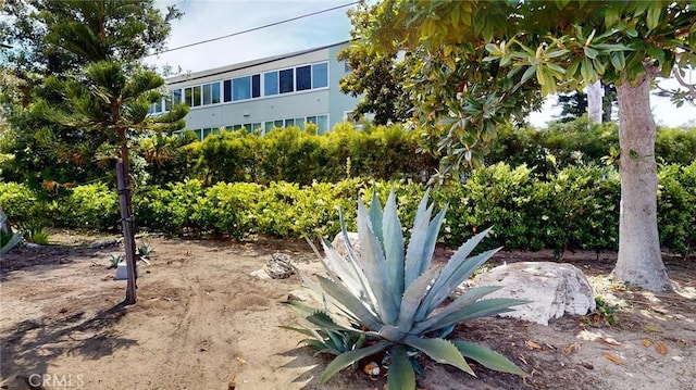 649 Paseo De La Playa Unit 303, Redondo Beach, CA 90277 - view of yard