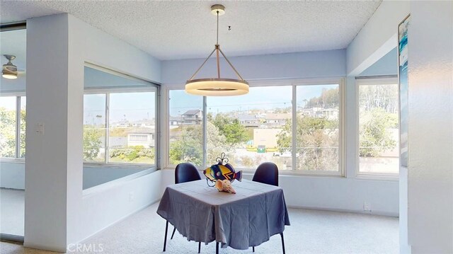 649 Paseo De La Playa Unit 303, Redondo Beach, CA 90277 - dining area with healthy amount of natural light, carpet, and a textured ceiling