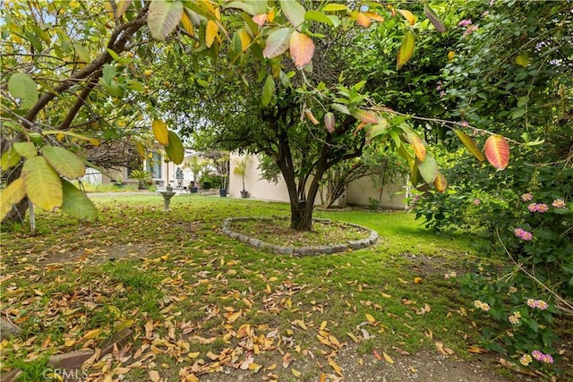 945 W Bonnie Brae Ct, Ontario, CA 91762 - view of yard