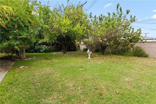 945 W Bonnie Brae Ct, Ontario, CA 91762 - view of yard