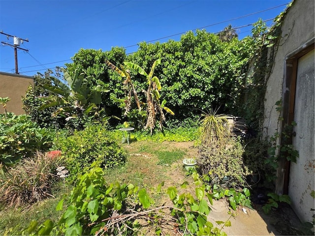 5738 S Mullen Ave, Los Angeles, CA 90043 - view of yard
