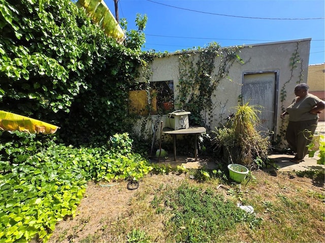 5738 S Mullen Ave, Los Angeles, CA 90043 - view of yard
