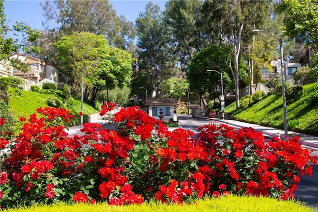 22890 Hilton Head Dr Unit 294, Diamond Bar, CA 91765 - surrounding community with view of scattered trees