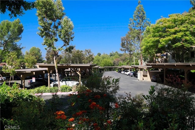 22890 Hilton Head Dr Unit 294, Diamond Bar, CA 91765 - view of community with covered parking