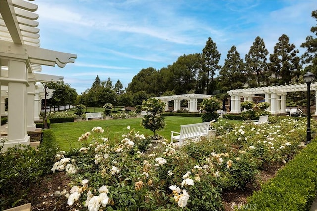 93 Old Course Dr, Newport Beach, CA 92660 - view of grassy yard with a pergola and view of wooded area