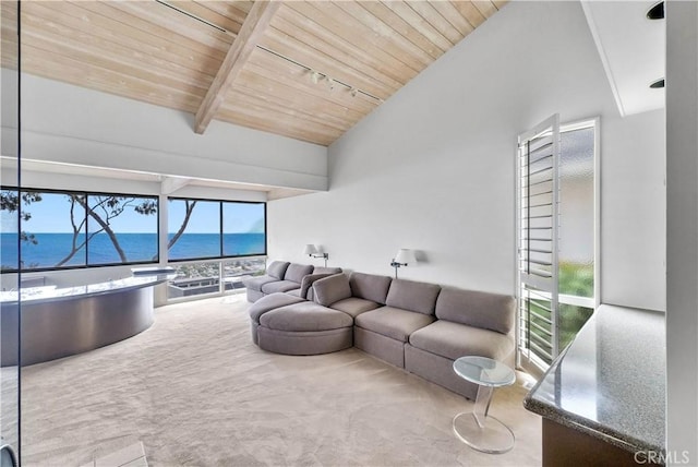 537 Dunnegan Pl, Laguna Beach, CA 92651 - living area with a water view, wooden ceiling, healthy amount of natural light, and carpet