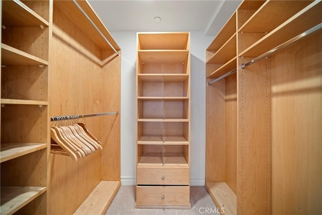 132 S Crescent Dr Unit 202, Beverly Hills, CA 90212 - view of walk in closet
