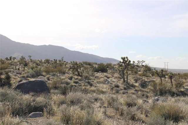 0 Trade Post Rd, Lucerne Valley, CA 92356