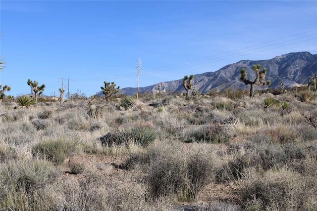 0 Trade Post Rd, Lucerne Valley, CA 92356
