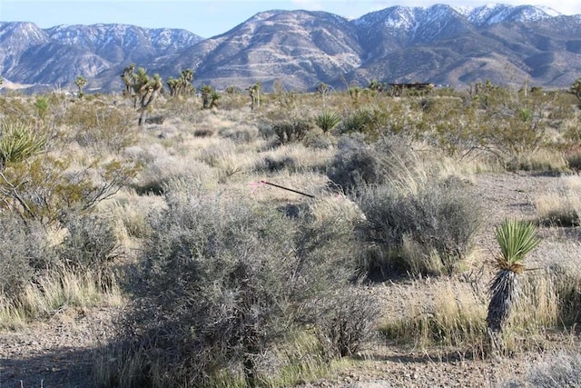 0 Trade Post Rd, Lucerne Valley, CA 92356