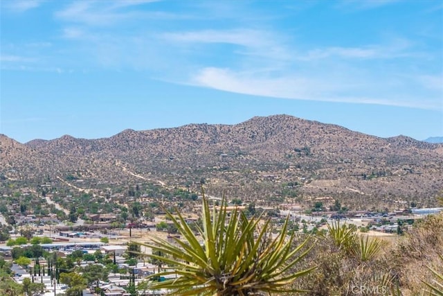 55652 Buena Vista Dr, Yucca Valley, CA 92284 - photo 9