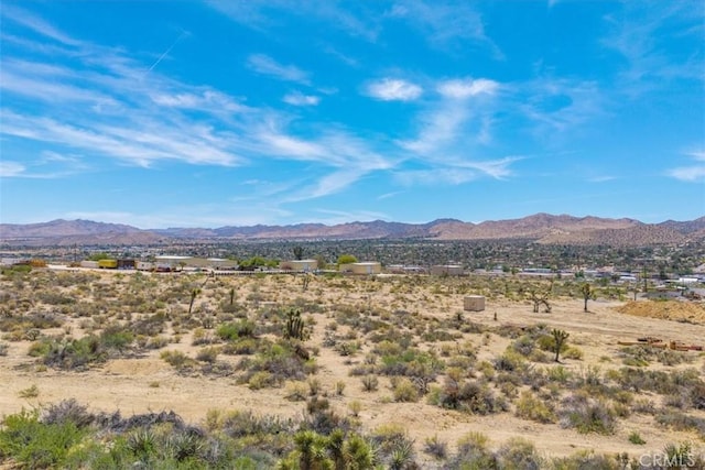 55652 Buena Vista Dr, Yucca Valley, CA 92284 - photo 28