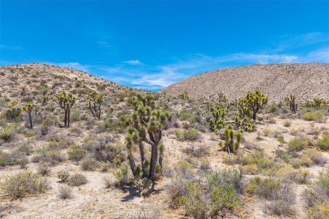 55652 Buena Vista Dr, Yucca Valley, CA 92284 - photo 26