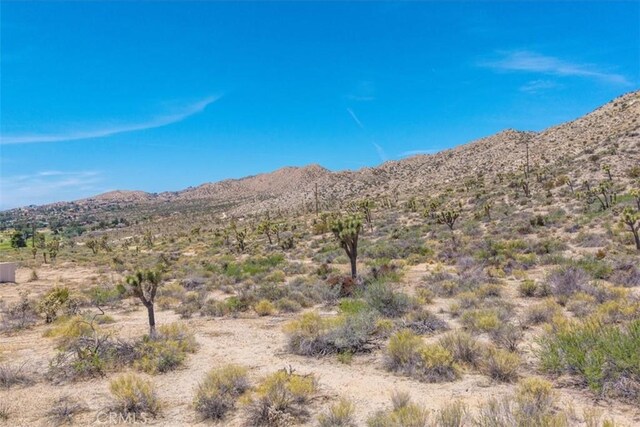 55652 Buena Vista Dr, Yucca Valley, CA 92284 - photo 24