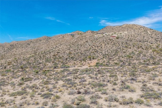55652 Buena Vista Dr, Yucca Valley, CA 92284 - photo 12