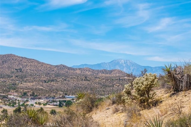 55652 Buena Vista Dr, Yucca Valley, CA 92284 - photo 6