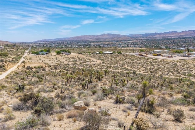 55652 Buena Vista Dr, Yucca Valley, CA 92284 - photo 5