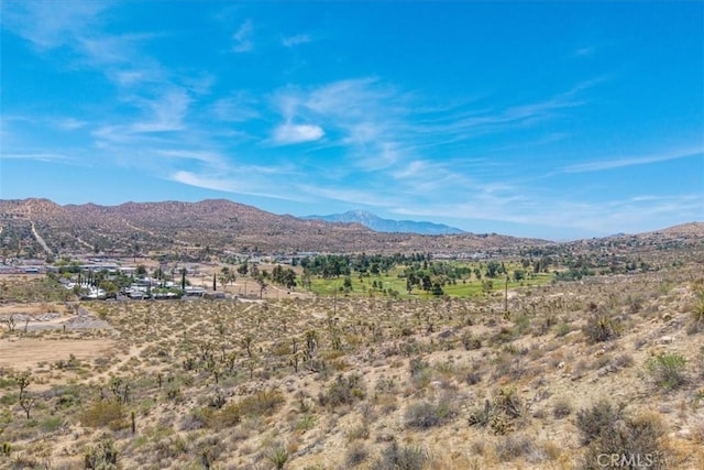 55652 Buena Vista Dr, Yucca Valley, CA 92284 - photo 3
