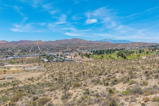 55652 Buena Vista Dr, Yucca Valley, CA 92284 - photo 10