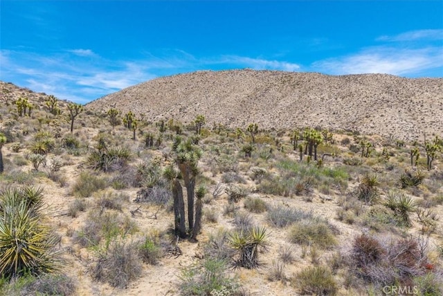 55652 Buena Vista Dr, Yucca Valley, CA 92284 - photo 29