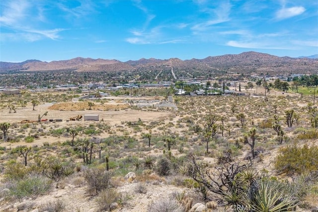 55652 Buena Vista Dr, Yucca Valley, CA 92284 - photo 11