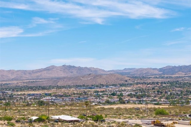 55652 Buena Vista Dr, Yucca Valley, CA 92284 - photo 8