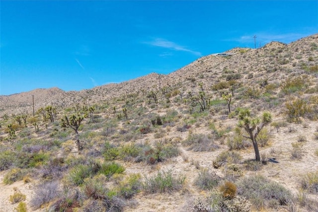 55652 Buena Vista Dr, Yucca Valley, CA 92284 - photo 25