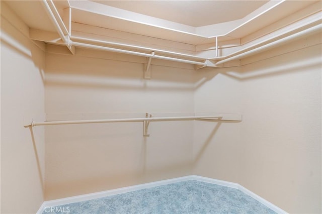 1049 Fairview Ave Unit 5, Arcadia, CA 91007 - spacious closet with carpet floors