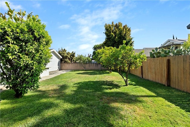 14911 Van Buren Ave, Gardena, CA 90247 - view of yard
