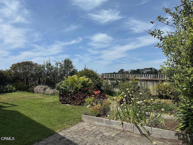 944 Stewart St, Fort Bragg, CA 95437 - view of yard
