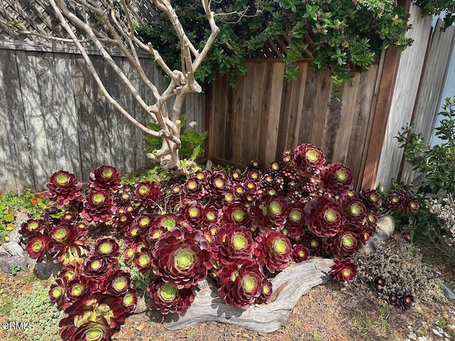 944 Stewart St, Fort Bragg, CA 95437 - exterior view