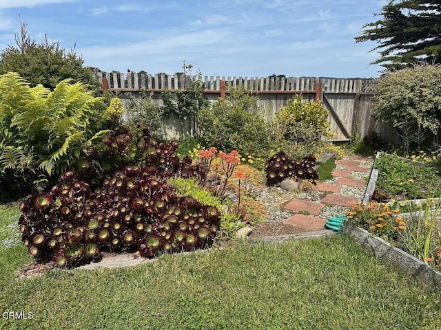 944 Stewart St, Fort Bragg, CA 95437 - view of yard