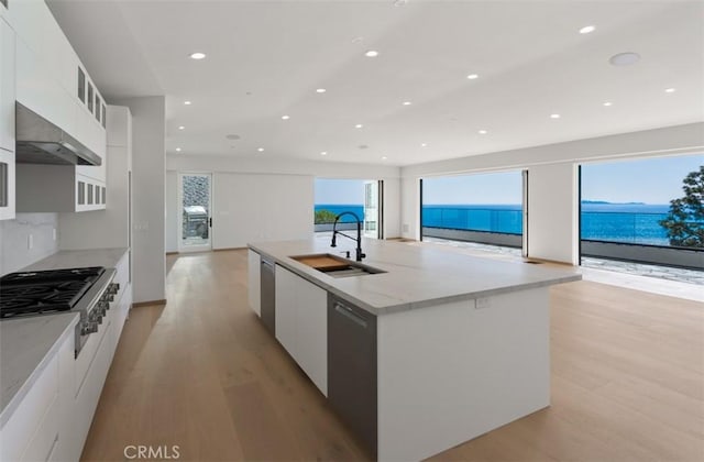 31 N Vista De Catalina, Laguna Beach, CA 92651 - kitchen with modern cabinets, stainless steel appliances, a sink, light wood finished floors, and open floor plan