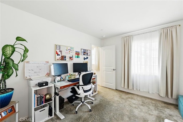 1782 Park Place Ln, Riverside, CA 92501 - office space with carpet flooring