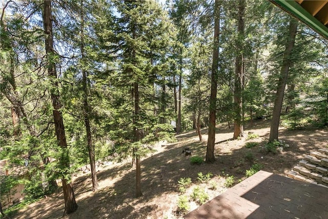 1213 Jungfrau Dr, Crestline, CA 92325 - view of yard