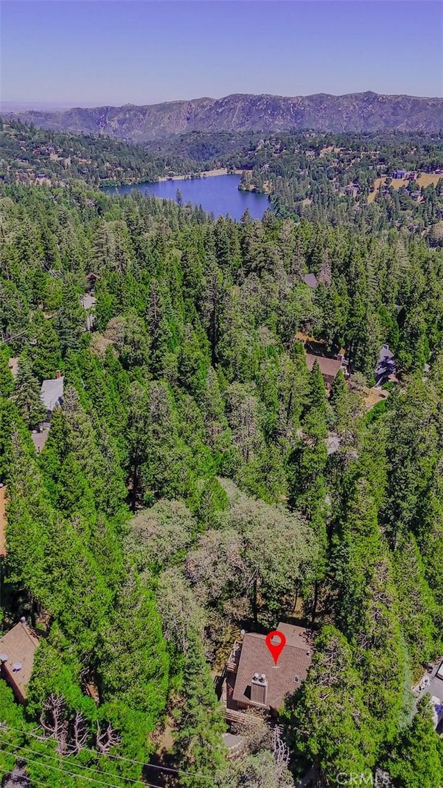 1213 Jungfrau Dr, Crestline, CA 92325 - drone / aerial view of a heavily wooded area and a nearby body of water