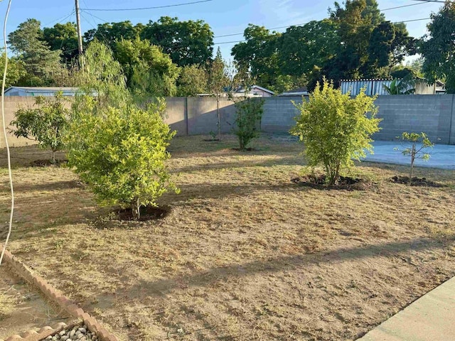 1335 S Hickory St, Anaheim, CA 92805 - view of fenced backyard