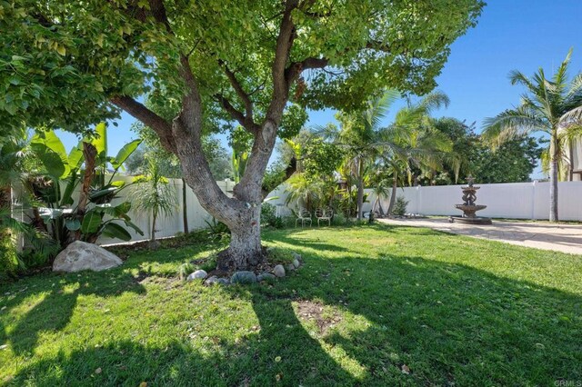 2042 Pheasant Run, Fallbrook, CA 92028 - view of fenced backyard