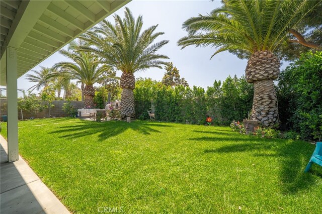 7256 Plumrose St, Fontana, CA 92336 - view of yard