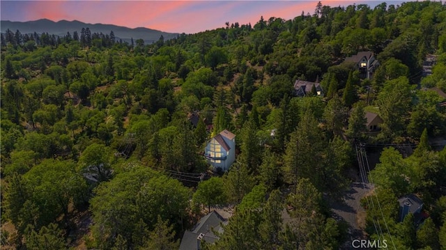 26503 Amador Ln, Lake Arrowhead, CA 92352 - aerial view of property's location with a forest
