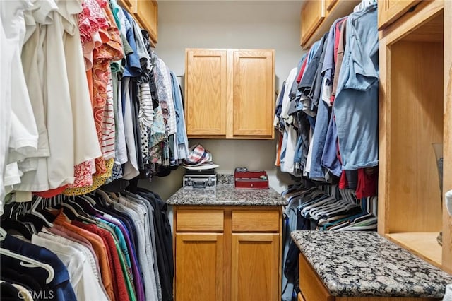 6752 Laurelbrook Dr, Riverside, CA 92506 - view of walk in closet
