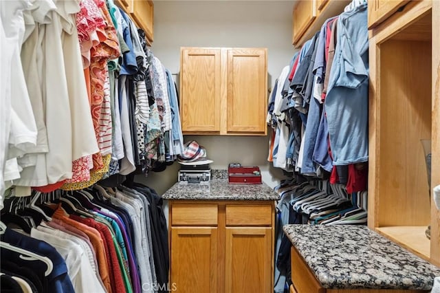 6752 Laurelbrook Dr, Riverside, CA 92506 - view of walk in closet