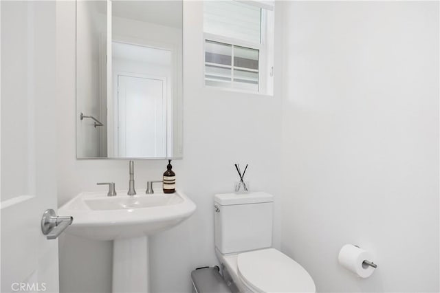 1146 E Cove Pl, Encinitas, CA 92024 - photo 8
