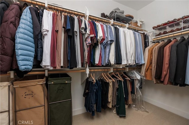 1146 E Cove Pl, Encinitas, CA 92024 - walk in closet with carpet floors