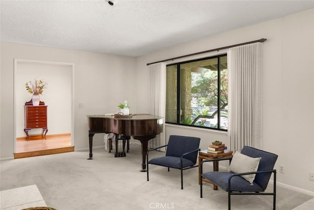 558 Paseo Companeros St, Chico, CA 95928 - sitting room with light carpet, baseboards, and a textured ceiling