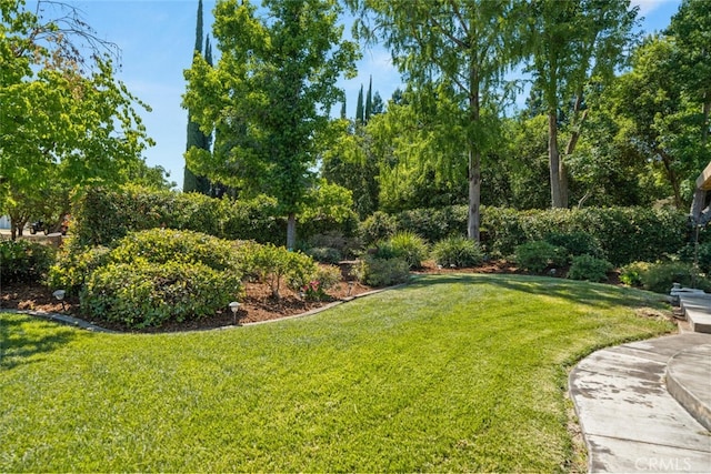 558 Paseo Companeros St, Chico, CA 95928 - view of green lawn