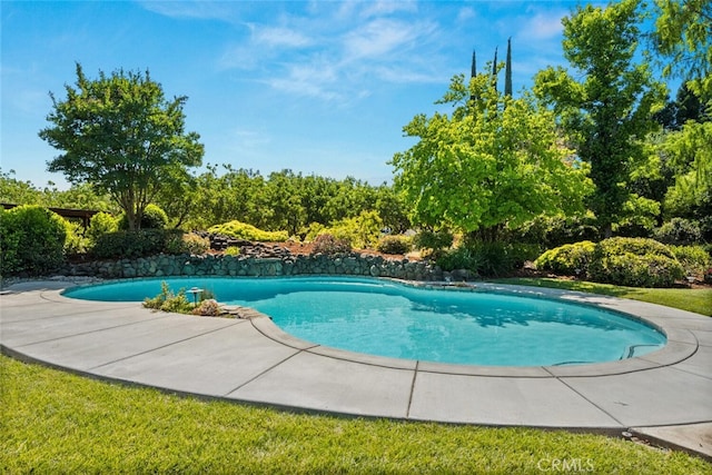 558 Paseo Companeros St, Chico, CA 95928 - view of outdoor pool