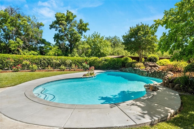 558 Paseo Companeros St, Chico, CA 95928 - view of pool