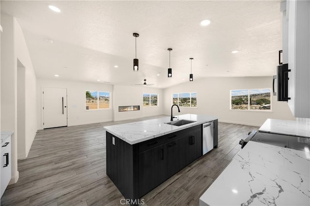 9641 Buena Vista St, Apple Valley, CA 92308 - kitchen with open floor plan, dishwasher, dark cabinets, light wood finished floors, and recessed lighting