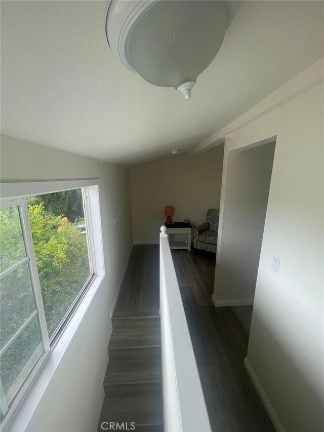 1254 Linda Rosa Ave, Los Angeles, CA 90041 - photo 17